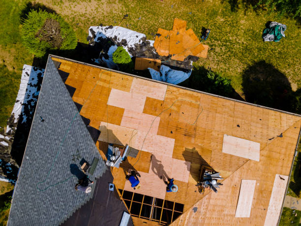 Best Flat Roof Repair Services  in Knox, IN