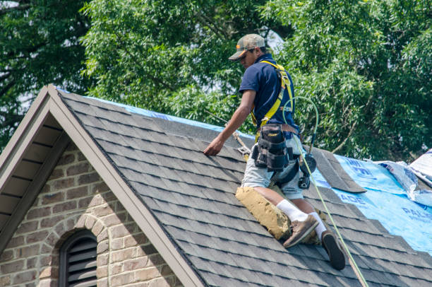 Best Affordable Roof Replacement  in Knox, IN
